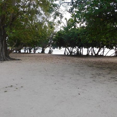 Entre Mer Et Verdure サンタンヌ エクステリア 写真